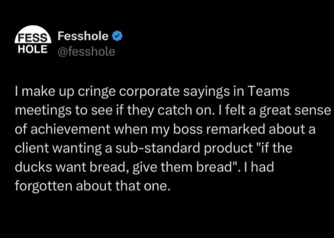 FESS Fesshole @fesshole I make up cringe corporate sayings in Teams meetings to see if they catch on. I felt a great sense of achievement when my boss remarked about a client wanting a sub-standard product 