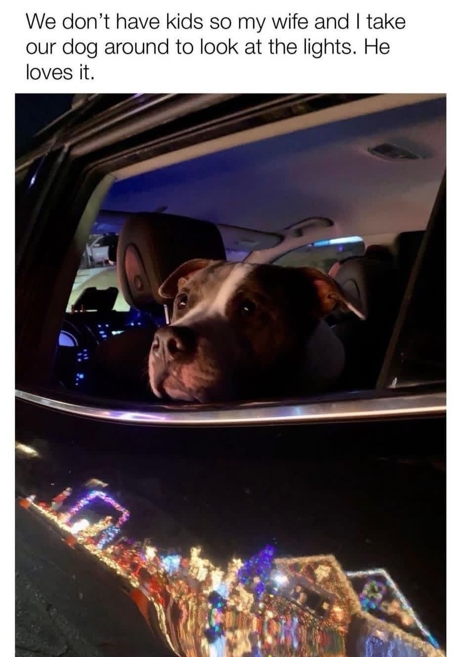 We don't have kids so my wife and I take our dog around to look at the lights. He loves it.