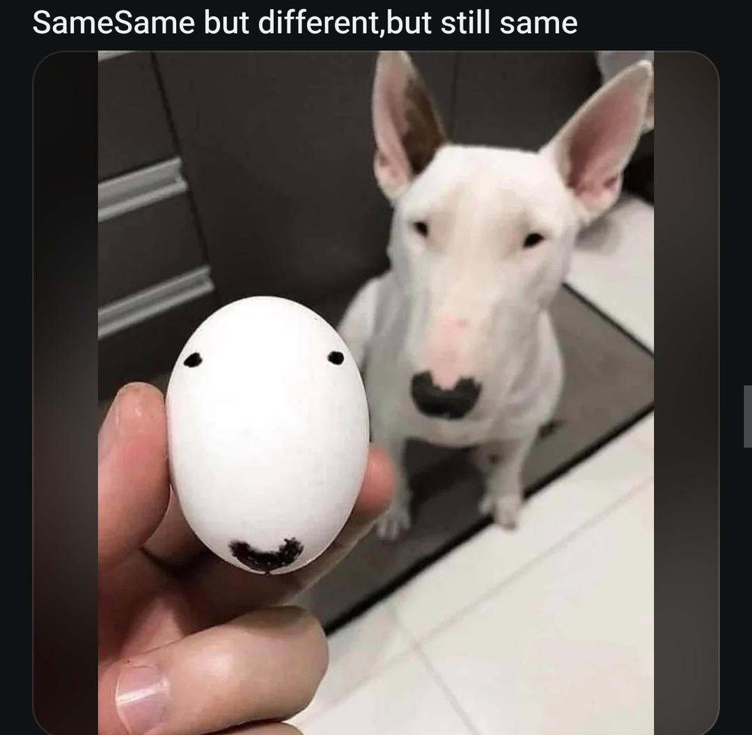 SameSame but different,but still same
