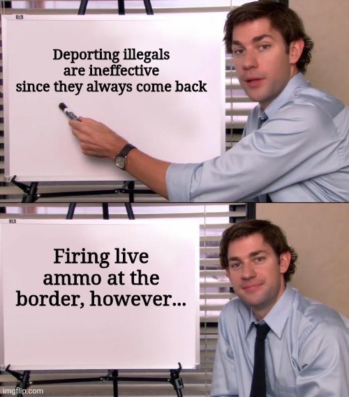 Deporting illegals are ineffective since they always come back. Firing live ammo at the border, however...