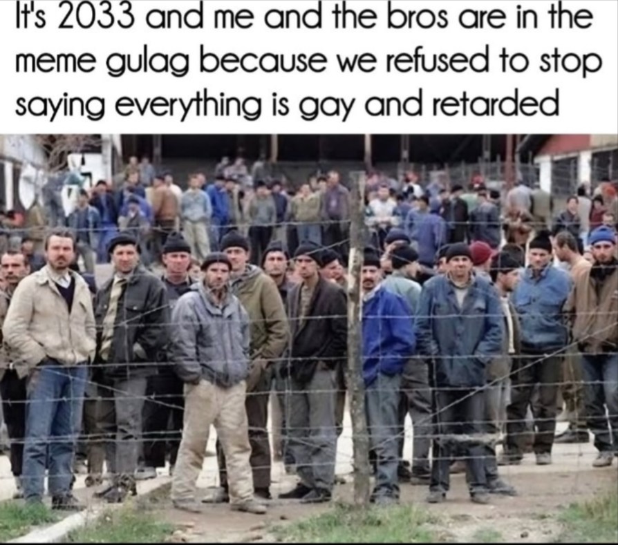 It's 2033 and me and the bros are in the meme gulag because we refused to stop saying everything is gay and retarded