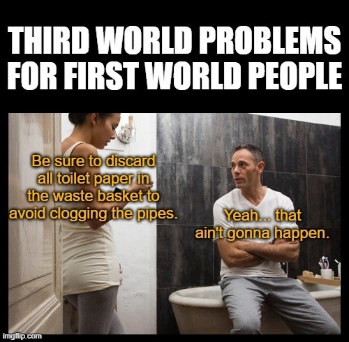THIRD WORLD PROBLEMS FOR FIRST WORLD PEOPLE. Be sure to discard all toilet paper in the waste basket to avoid clogging the pipes. Yeah... that ain't gonna happen.