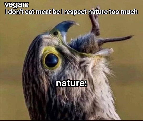 vegan: I don't eat meat bc I respect nature too much nature: