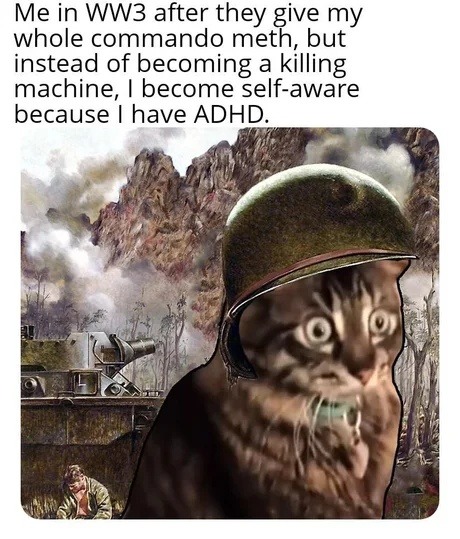 Me in WW3 after they give my whole commando meth, but instead of becoming a killing machine, I become self-aware because I have ADHD.