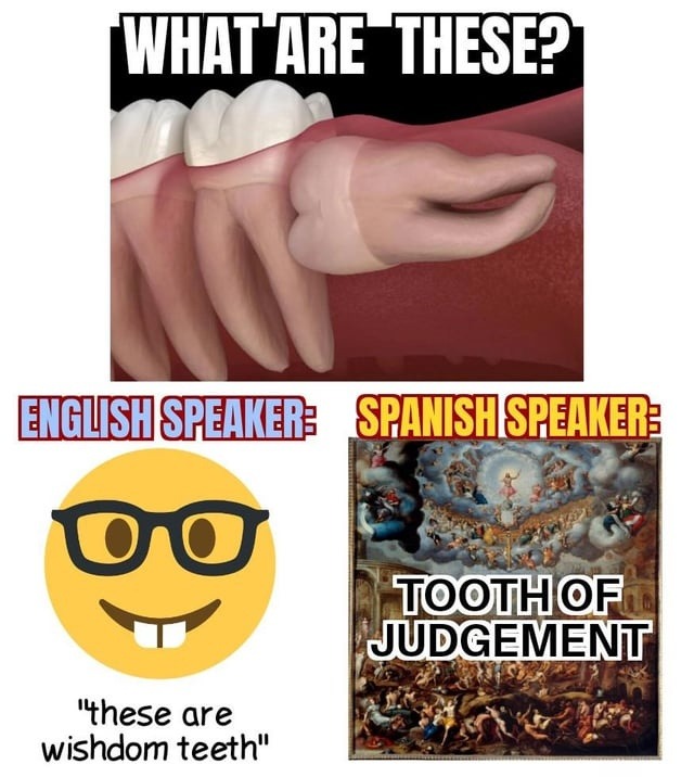 WHAT ARE THESE? ENGLISH SPEAKER: these are wisdom teeth. SPANISH SPEAKER: TOOTH OF JUDGEMENT.