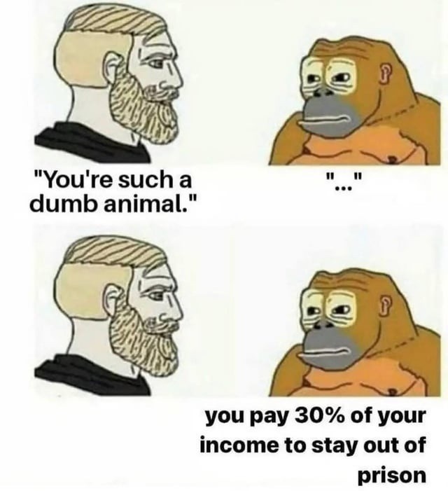 You're such a dumb animal. ... you pay 30% of your income to stay out of prison