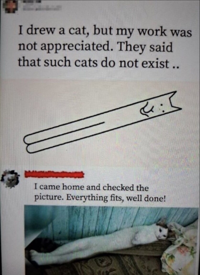 I drew a cat, but my work was not appreciated. They said that such cats do not exist.. I came home and checked the picture. Everything fits, well done!