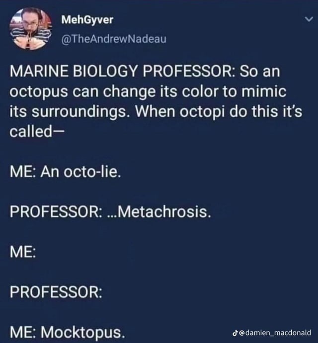 MehGyver @TheAndrewNadeau
MARINE BIOLOGY PROFESSOR: So an octopus can change its color to mimic its surroundings. When octopi do this it's called—
ME: An octo-lie.
PROFESSOR: ...Metachrosis.
ME:
PROFESSOR:
ME: Mocktopus.
@damien_macdonald