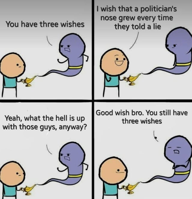 You have three wishes. I wish that a politician's nose grew every time they told a lie. Yeah, what the hell is up with those guys, anyway? Good wish bro. You still have three wishes.
