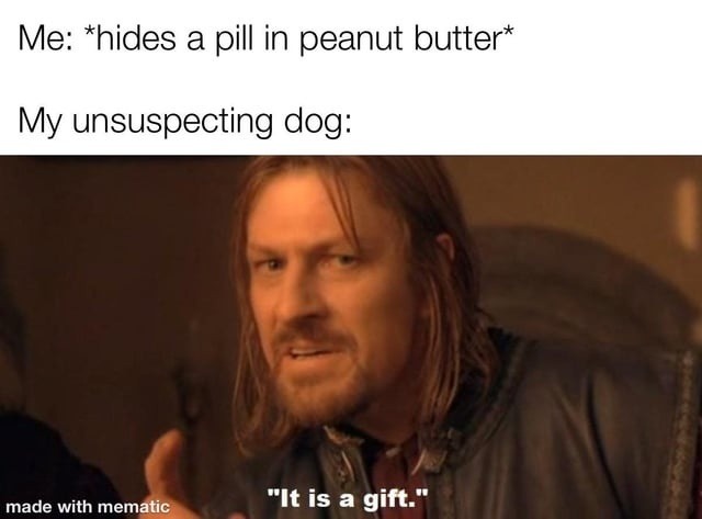 Me: *hides a pill in peanut butter* My unsuspecting dog: It is a gift.