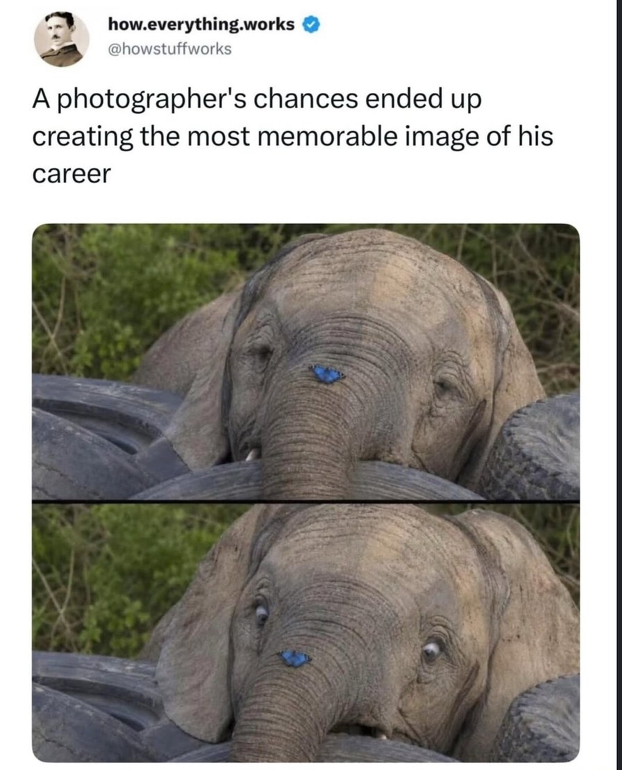 how.everything.works @howstuffworks A photographer's chances ended up creating the most memorable image of his career