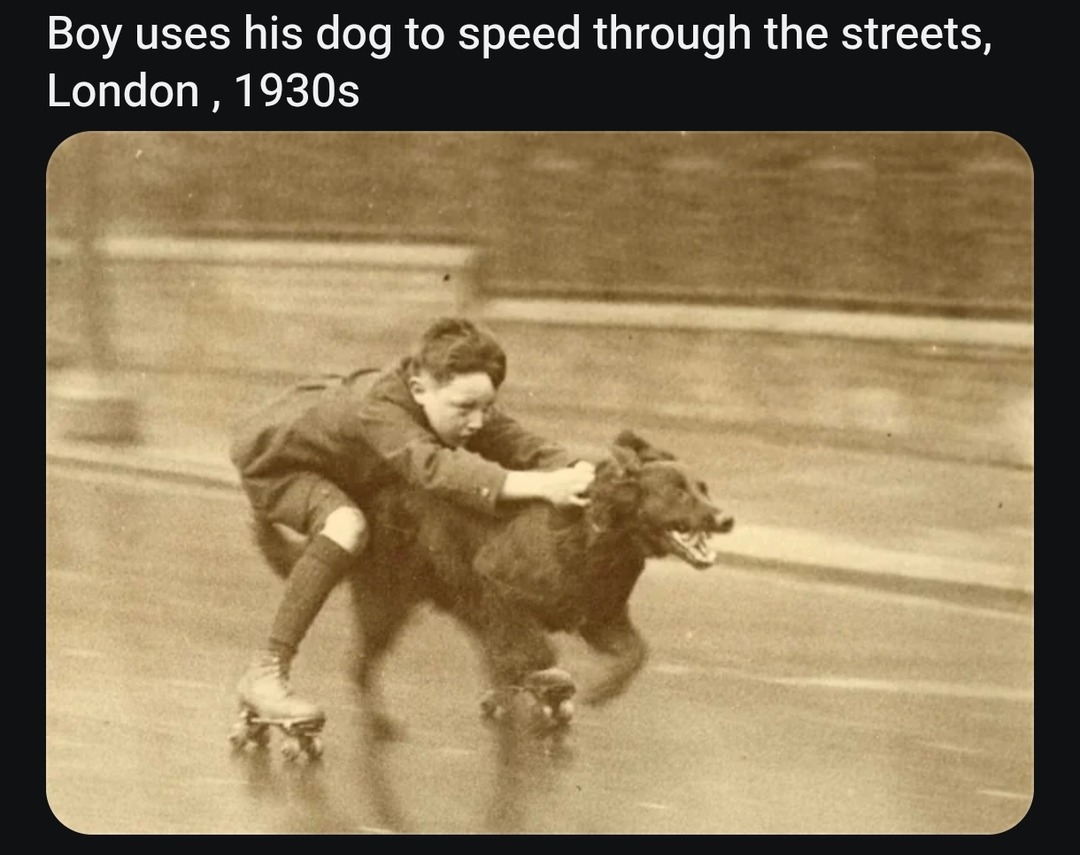 Boy uses his dog to speed through the streets, London, 1930s