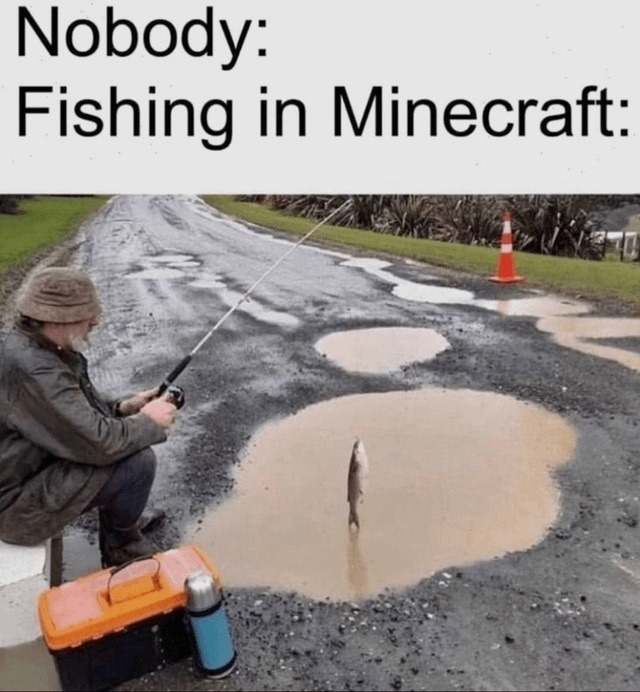 Nobody: Fishing in Minecraft: