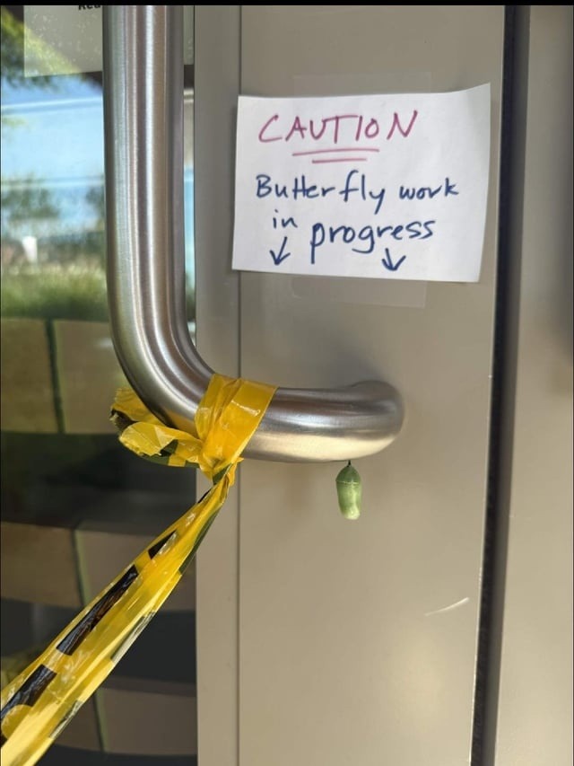 CAUTION Butterfly work in progress