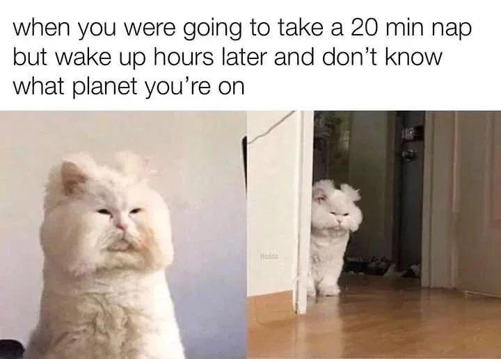 when you were going to take a 20 min nap but wake up hours later and don't know what planet you're on