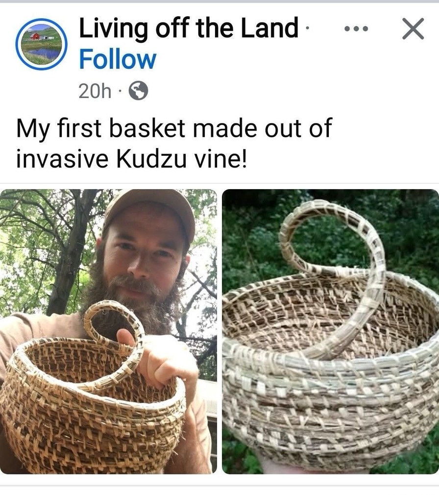 Living off the Land. My first basket made out of invasive Kudzu vine!