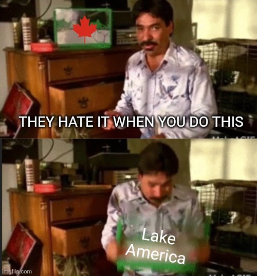 THEY HATE IT WHEN YOU DO THIS
Lake America
Canada (implied by maple leaf)