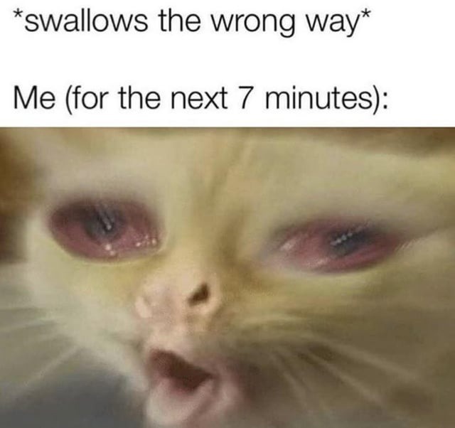 *swallows the wrong way* Me (for the next 7 minutes):