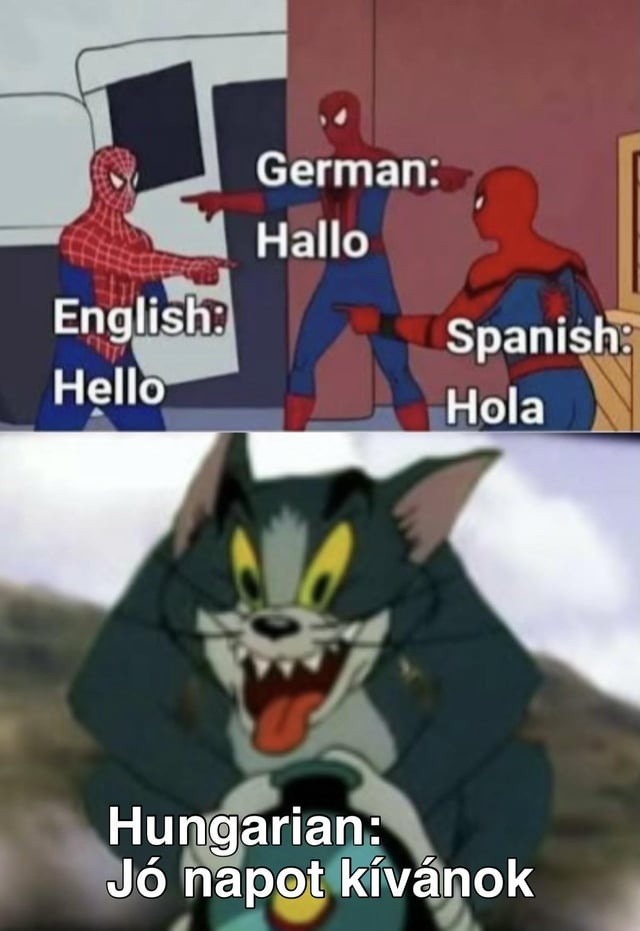 The meme shows three Spider-Men pointing at each other, representing different languages with simple greetings: German: Hallo, English: Hello, Spanish: Hola. Below, a screaming Tom from Tom and Jerry represents Hungarian with a much longer greeting: Jó napot kívánok.