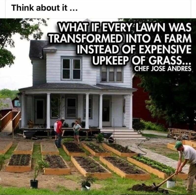 Think about it... WHAT IF EVERY LAWN WAS TRANSFORMED INTO A FARM INSTEAD OF EXPENSIVE UPKEEP OF GRASS... CHEF JOSE ANDRES