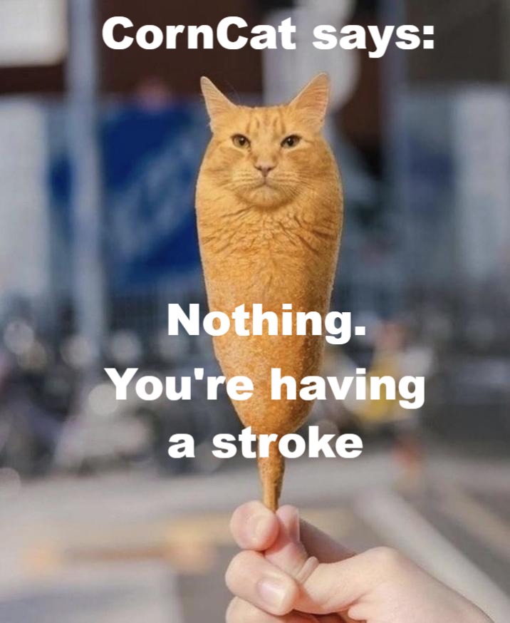 CornCat says: Nothing. You're having a stroke
