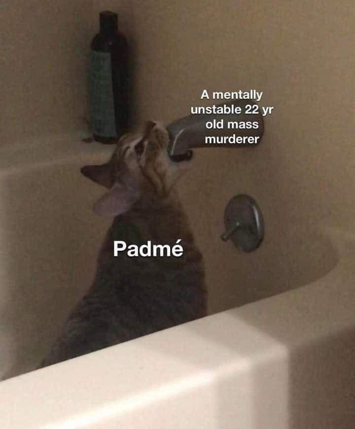 A mentally unstable 22 yr old mass murderer Padmé