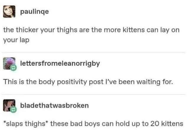 The thicker your thighs are the more kittens can lay on your lap. This is the body positivity post I've been waiting for. *slaps thighs* these bad boys can hold up to 20 kittens.