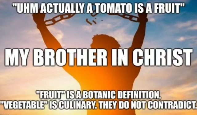 UHM ACTUALLY A TOMATO IS A FRUIT MY BROTHER IN CHRIST 