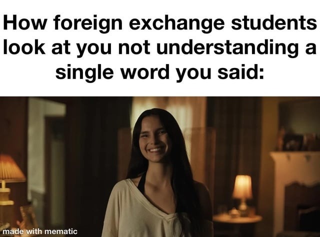 How foreign exchange students look at you not understanding a single word you said: made with mematic