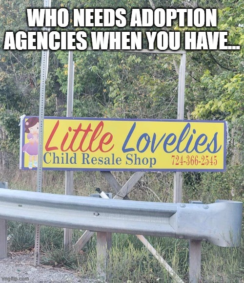 WHO NEEDS ADOPTION AGENCIES WHEN YOU HAVE... Little Lovelies Child Resale Shop 724-366-2545