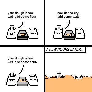 your dough is too wet. add some flour now its too dry. add some water your dough is too wet. add some flour- A FEW HOURS LATER...