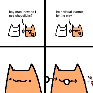 hey man, how do i use chopsticks? im a visual learner, by the way