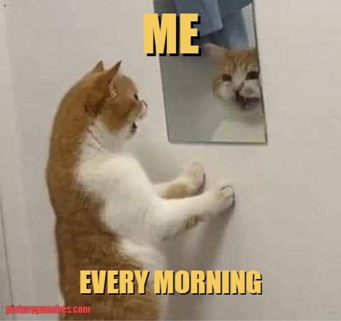 ME EVERY MORNING