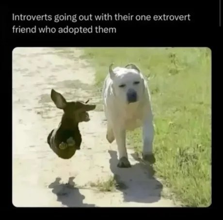Introverts going out with their one extrovert friend who adopted them