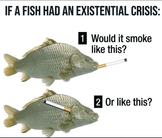 IF A FISH HAD AN EXISTENTIAL CRISIS: 1 Would it smoke like this? 2 Or like this?