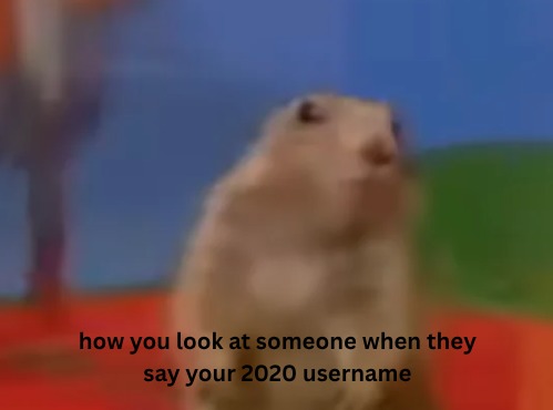 how you look at someone when they say your 2020 username