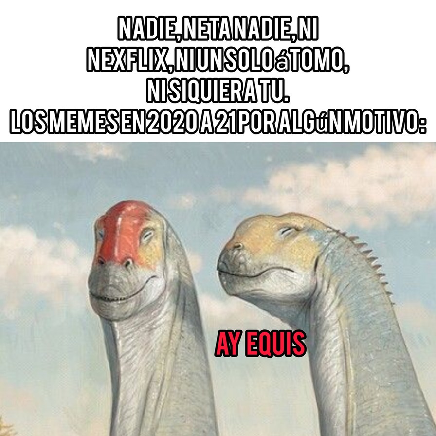NADIE, NETA NADIE, NI NEXFLIX, NI UN SOLO ÁTOMO, NI SIQUIERA TU. LOS MEMES EN 2020 A 21 POR ALGÚN MOTIVO: AY EQUIS