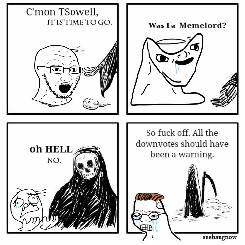 C'mon TSowell, IT IS TIME TO GO. Was I a Memelord? oh HELL NO. So fuck off. All the downvotes should have been a warning.