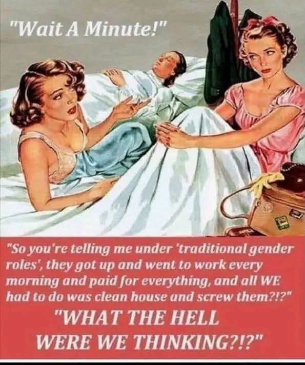 Wait A Minute! So you're telling me under 'traditional gender roles', they got up and went to work every morning and paid for everything, and all WE had to do was clean house and screw them?!? WHAT THE HELL WERE WE THINKING!?!