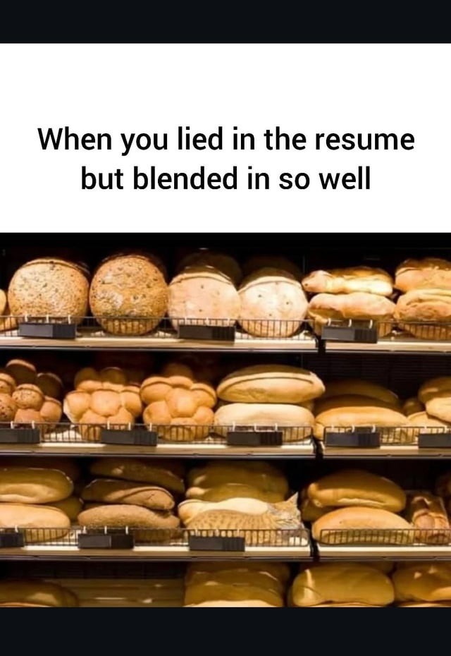 When you lied in the resume but blended in so well