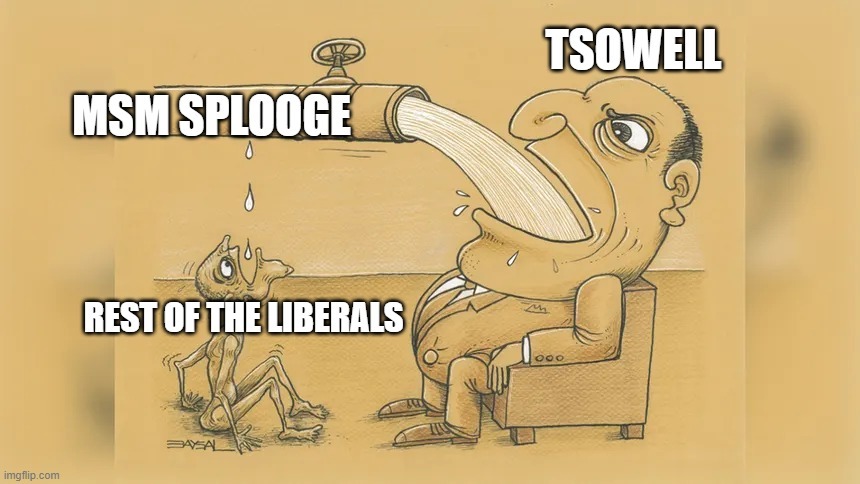 MSM SPLOOGE TSOWELL REST OF THE LIBERALS