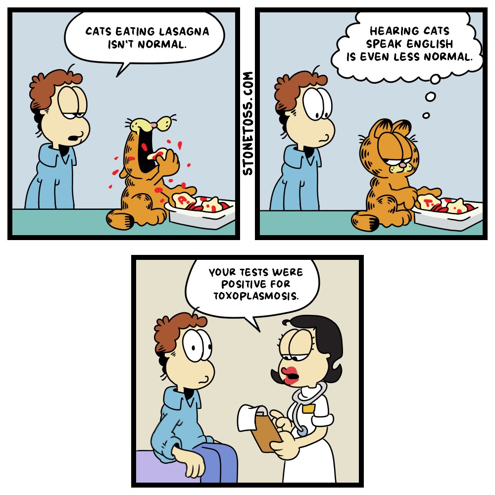 CATS EATING LASAGNA ISN'T NORMAL. HEARING CATS SPEAK ENGLISH IS EVEN LESS NORMAL. YOUR TESTS WERE POSITIVE FOR TOXOPLASMOSIS.