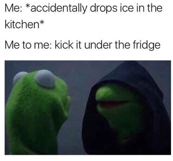 Me: *accidentally drops ice in the kitchen* Me to me: kick it under the fridge