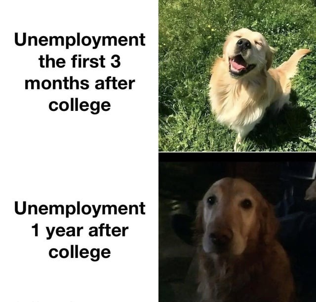 Unemployment the first 3 months after college. Unemployment 1 year after college. A meme contrasting the initial carefree feeling of unemployment after college with the grim reality after a year, using images of a happy and a sad golden retriever.