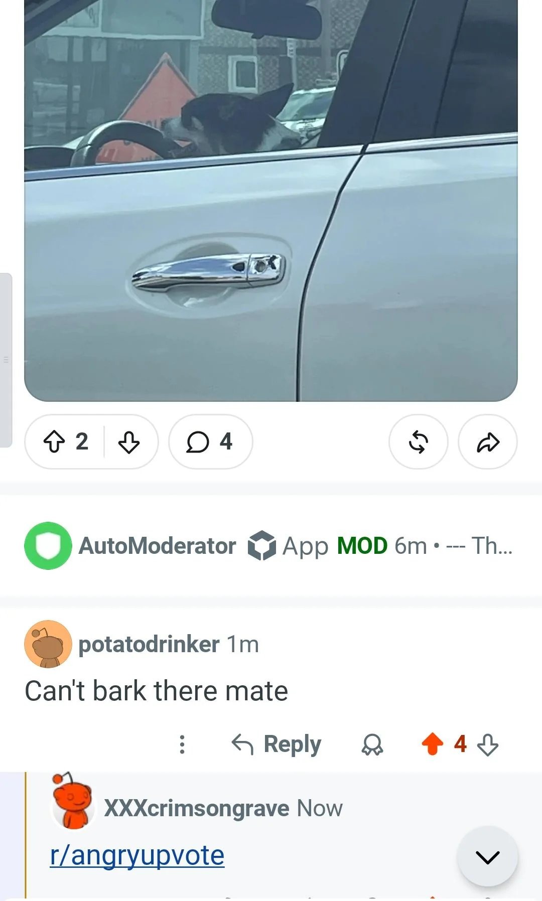 Can't bark there mate r/angryupvote
