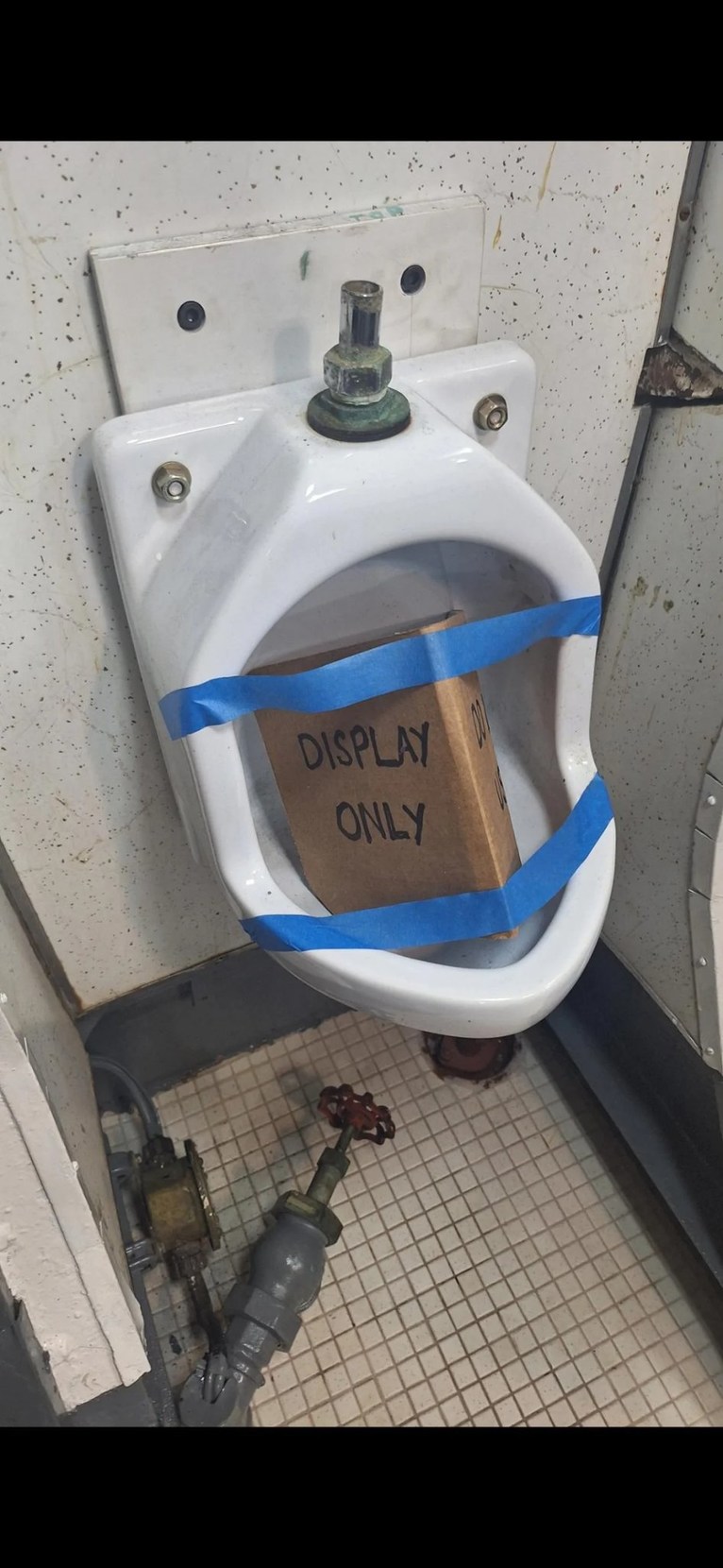 DISPLAY ONLY