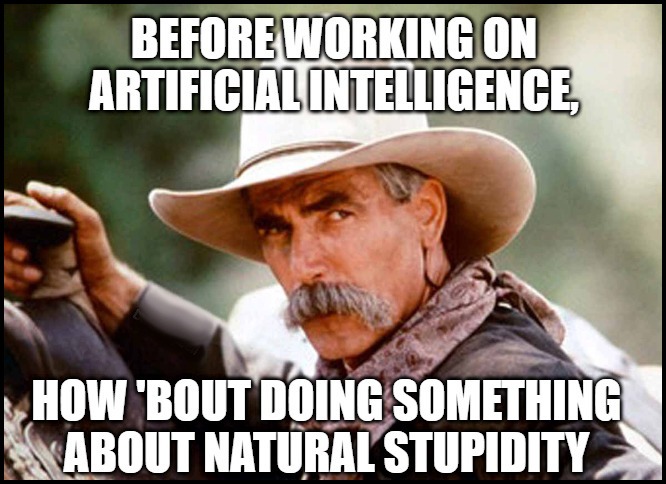 BEFORE WORKING ON ARTIFICIAL INTELLIGENCE, HOW 'BOUT DOING SOMETHING ABOUT NATURAL STUPIDITY