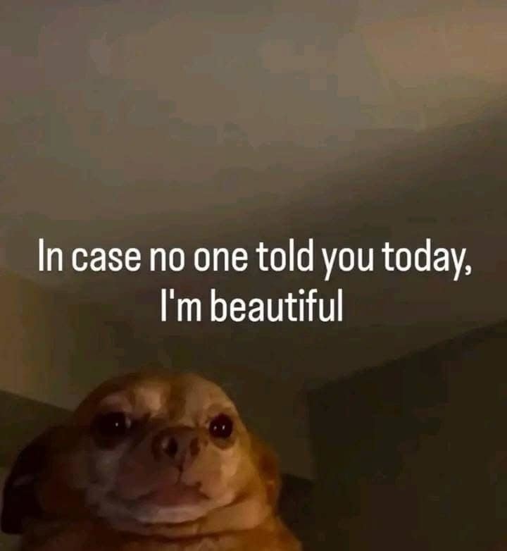 In case no one told you today, I'm beautiful