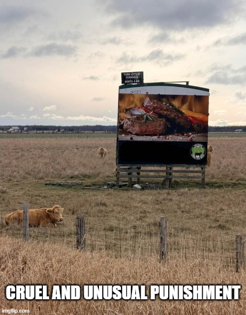 TURN LEFT AT FERNDALE NORTH 4 KM. CRUEL AND UNUSUAL PUNISHMENT. The image shows cows in a field looking at a billboard advertising cooked steaks.