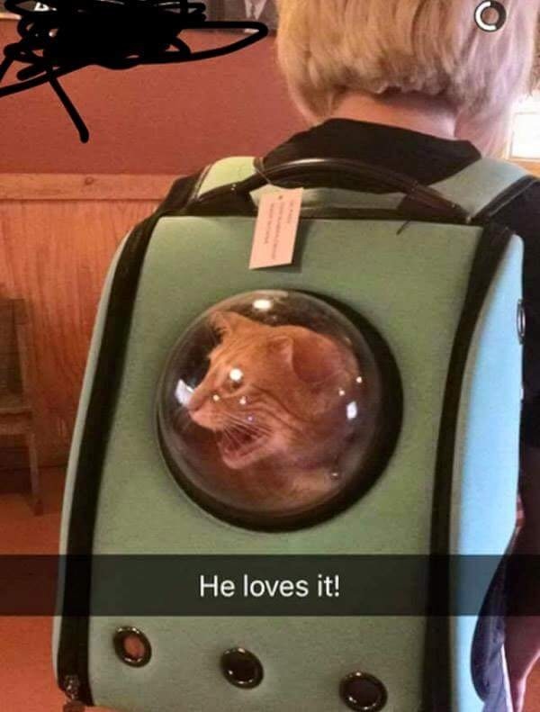 He loves it!